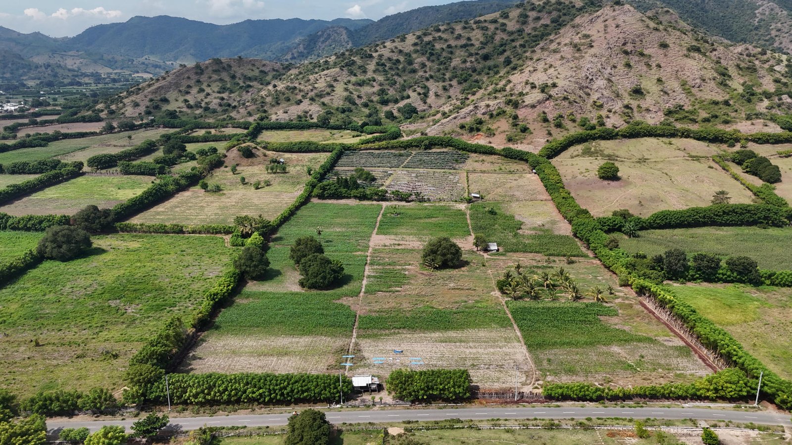 DJI_20250619132532_0..._imresizer