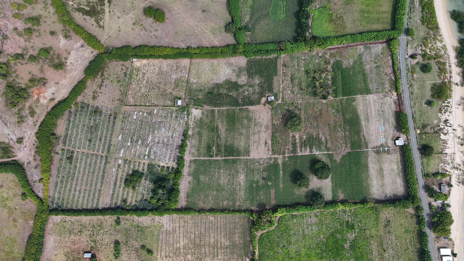 DJI_20250619134057_0..._imresizer