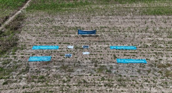 DJI_20250619132138_0..._imresizer