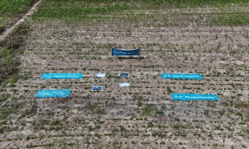 DJI_20250619132138_0..._imresizer