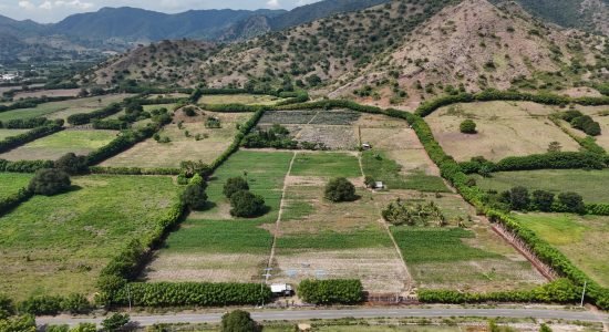 DJI_20250619132532_0..._imresizer
