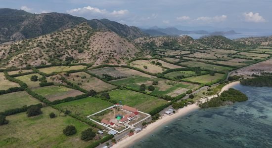 DJI_20250619133521_0..._imresizer