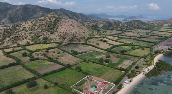 DJI_20250619133552_0..._imresizer