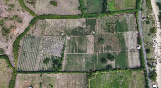 DJI_20250619134057_0..._imresizer